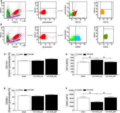 Ethyl Pyruvate Reduces Systemic Leukocyte Activation via Caspase-1 and NF-κB After Blunt Chest Trauma and Haemorrhagic Shock